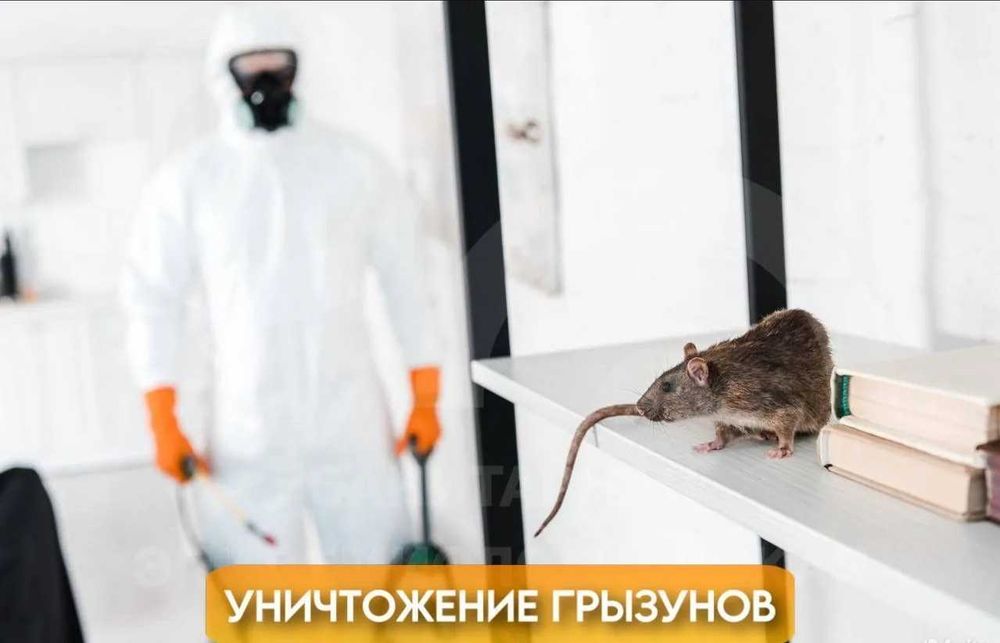 Дезинфекция Dezinfeksiya чивин, пашша, бурга, клапа, кана, илон, ари
