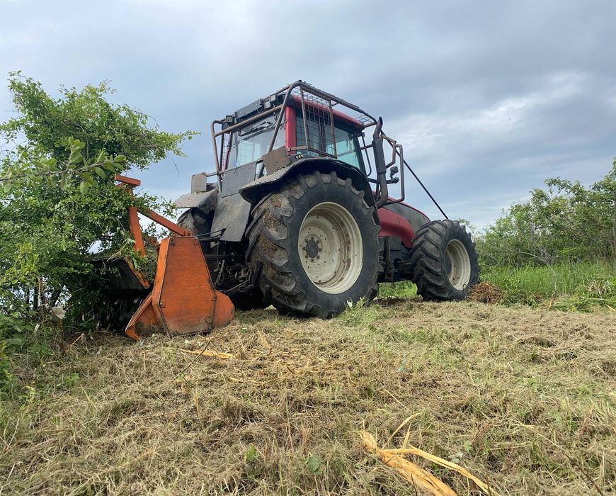Curatare si defrisare teren de vegetatie nedorita