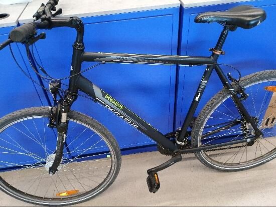 Pegasus Avanti - produs resigilat - (SecondHand) Decathlon