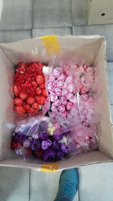 Тюльпаны доставка по городу !