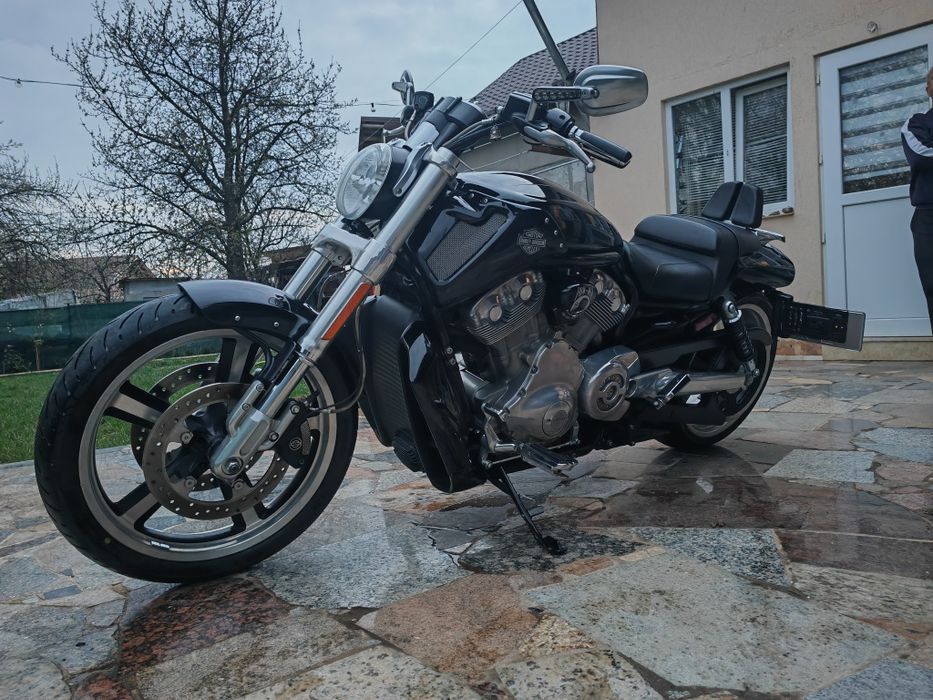 Harley-Davidson 1250 v-rod muscle vrscf