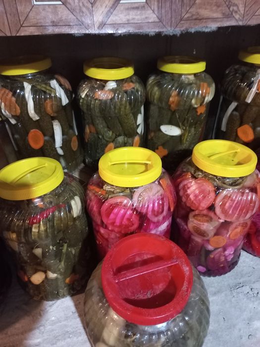 Gogonele,  castraveți  în saramură,  murături  asortate  cu conopidă !