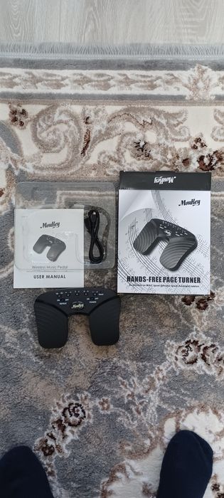 Hands-Free page Turner
