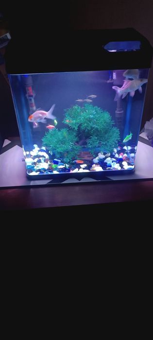 Аквариум сотилади