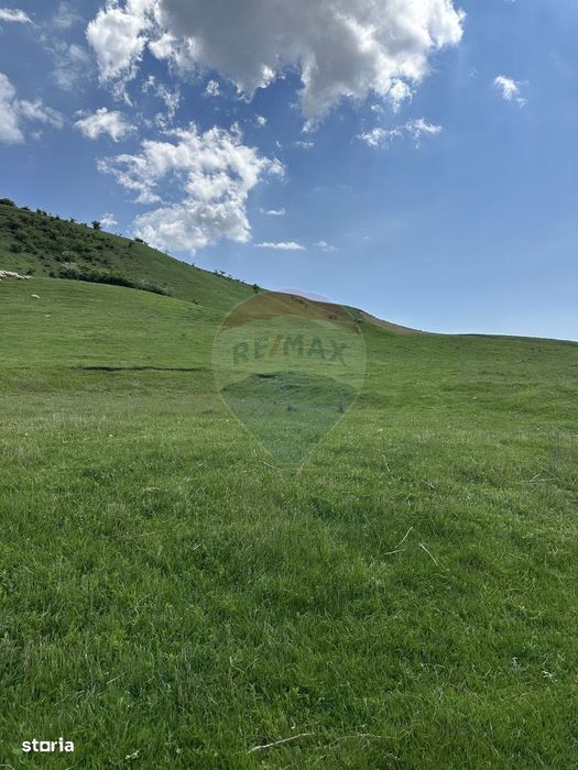 Teren 1,000mp Garcina / Strada Punct Marian