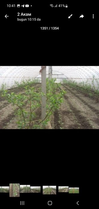 теплиса сотилади энига 12 метр узунлиги 38 метр 1сотиги 450000 минг