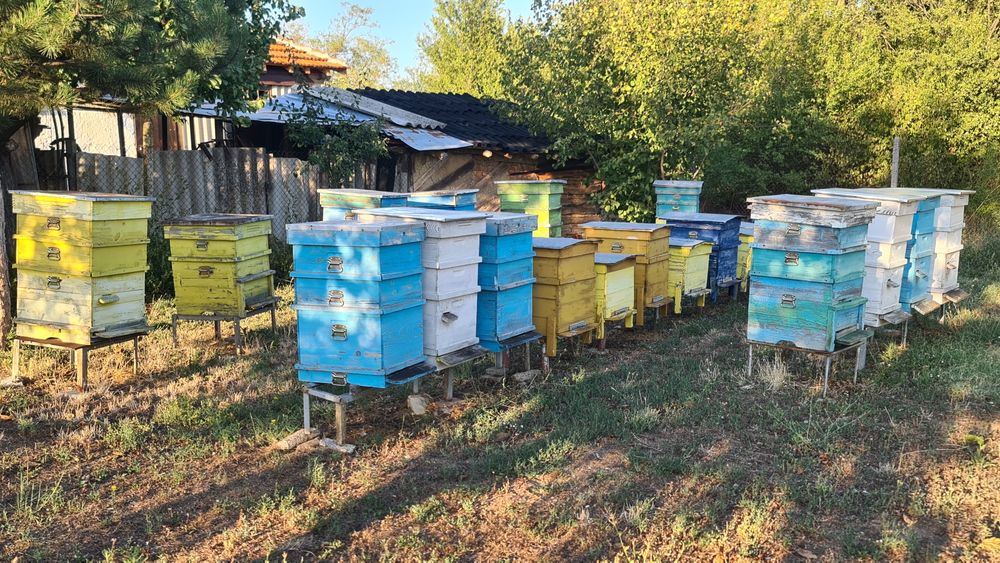 Кошери, сандъци за пчели