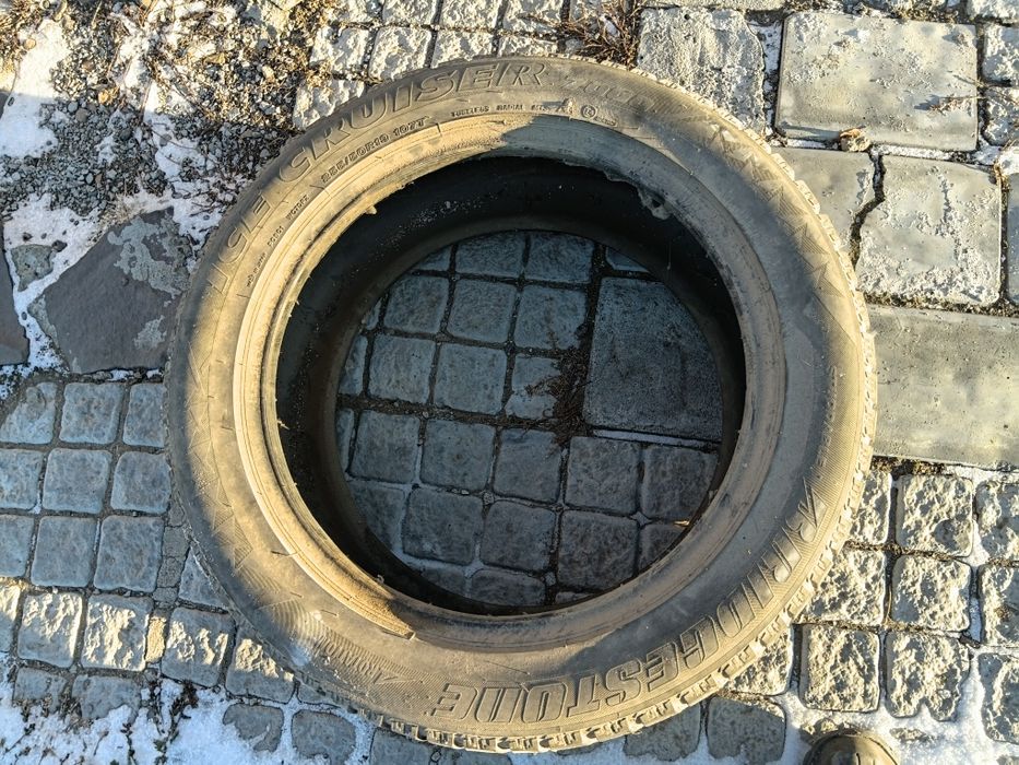 Резина р19 /255/50