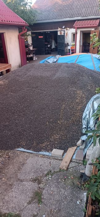 Vînd floarea soarelui