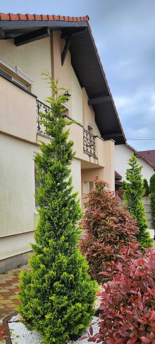 Vila Individuala MOSNITA NOUA, 792 mp LA CHEIE, 4 Dormitoare, Gradina,