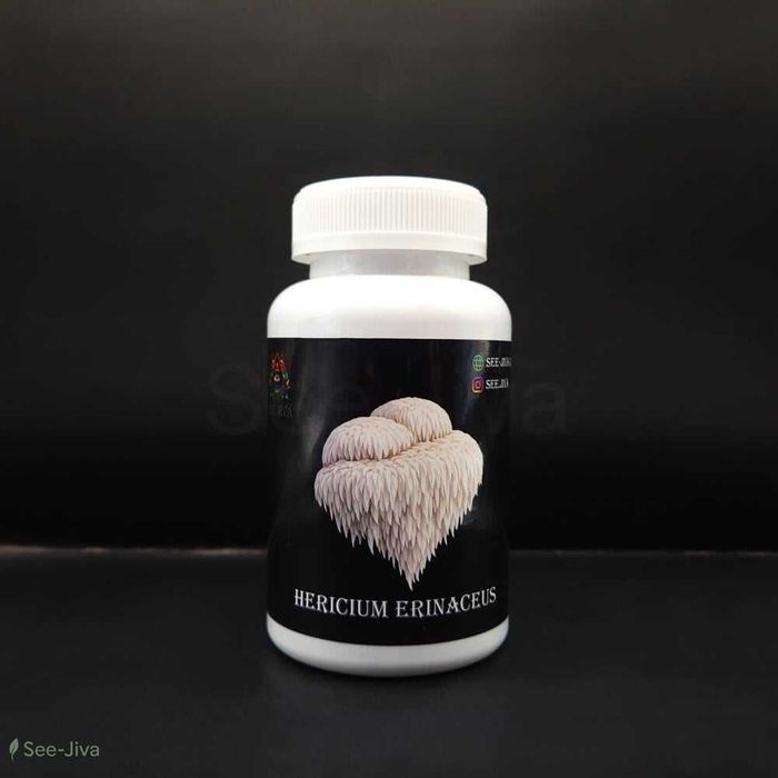 Кордицепс военный