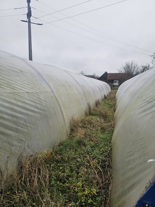 Arce solar sau  solar !