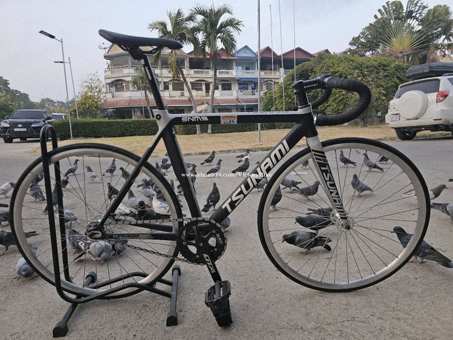 Tsunami snm 300 / fixed gear / фикс
