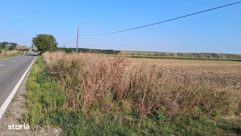 Teren extravilan zona izvoare 28500 mp