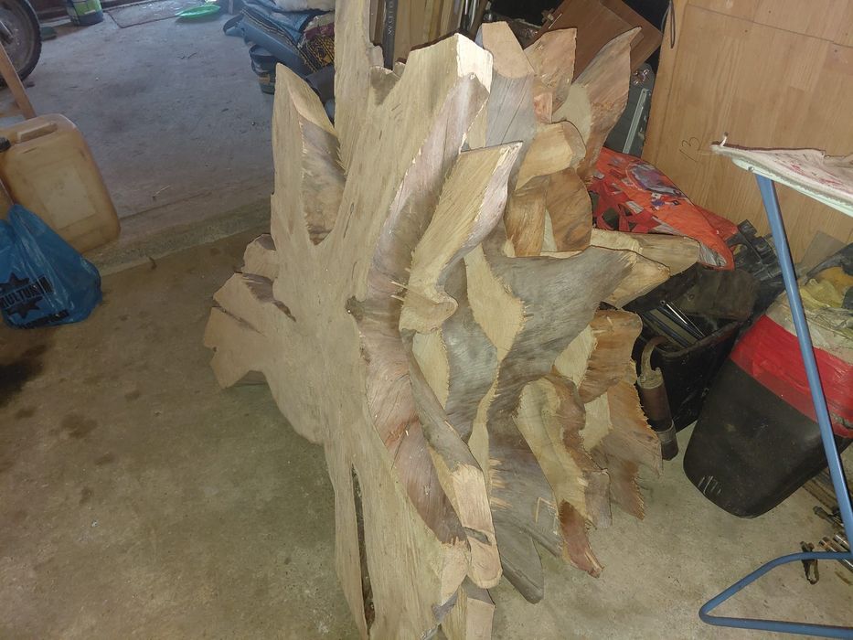 Blaturi molid uscate de 8 ani aștept oferte