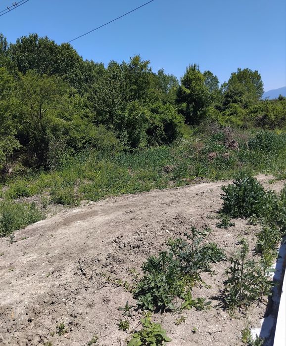 Продава се Парцел в с. Кременик, Област Кюстендил - 500 кв.м за 65 €/кв.м - Снимка #1