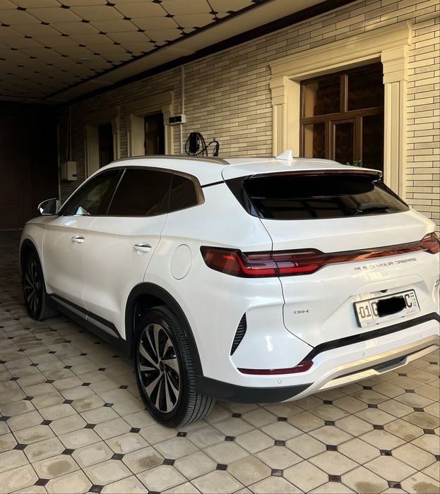Byd champion gibrid 150 oq afitsalniy