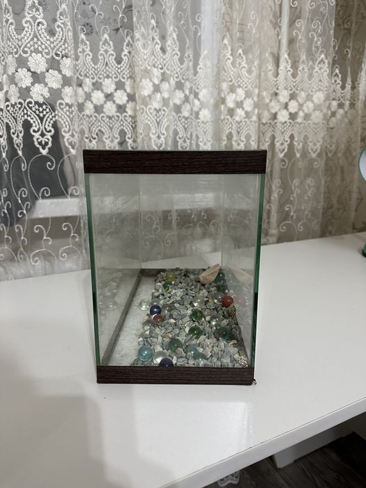Небольшой аквариум 5000 тг.