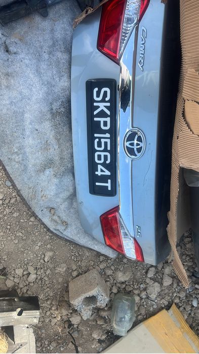 Камри миниморды нускаты