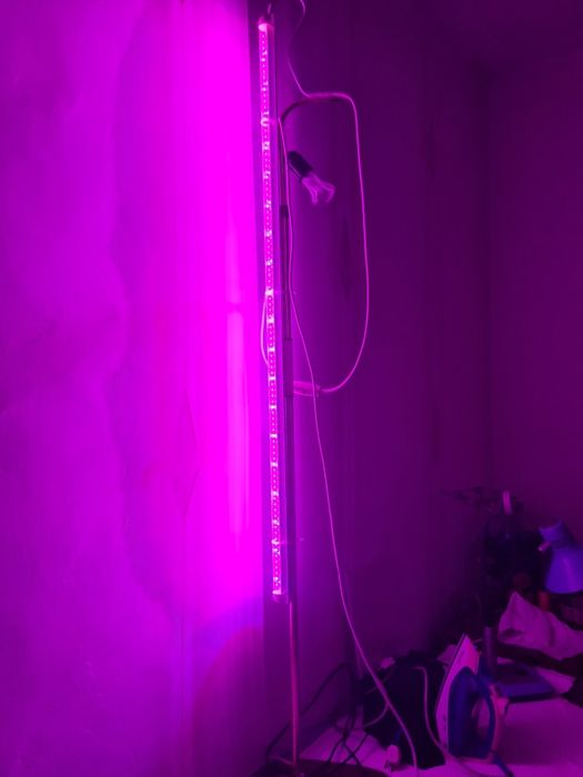 Фитолампа для растений.