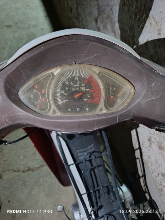 Moped revolte turkiya