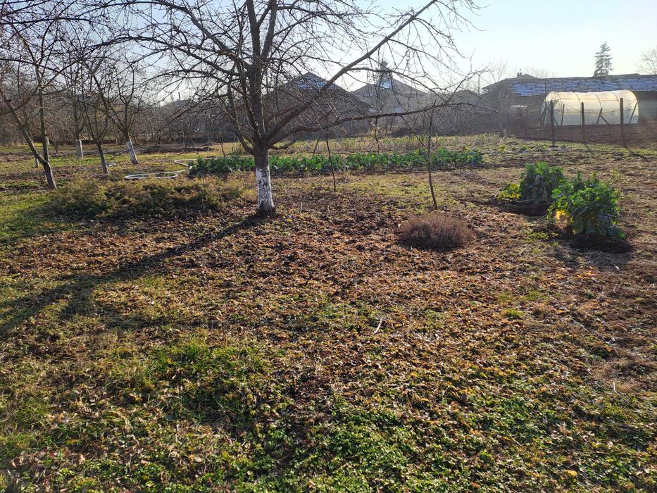 Цех Производствено помещение,Сушилня