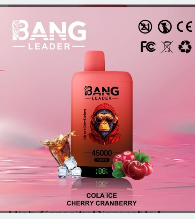 Pachet 2 Bang Leader 45k Puffs Reîncărcabil