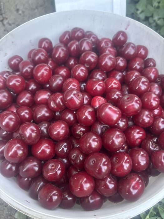 Продам черешню ( домашняя) за литр 650 тг