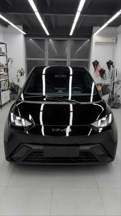 BYD Seagul pod zakaz