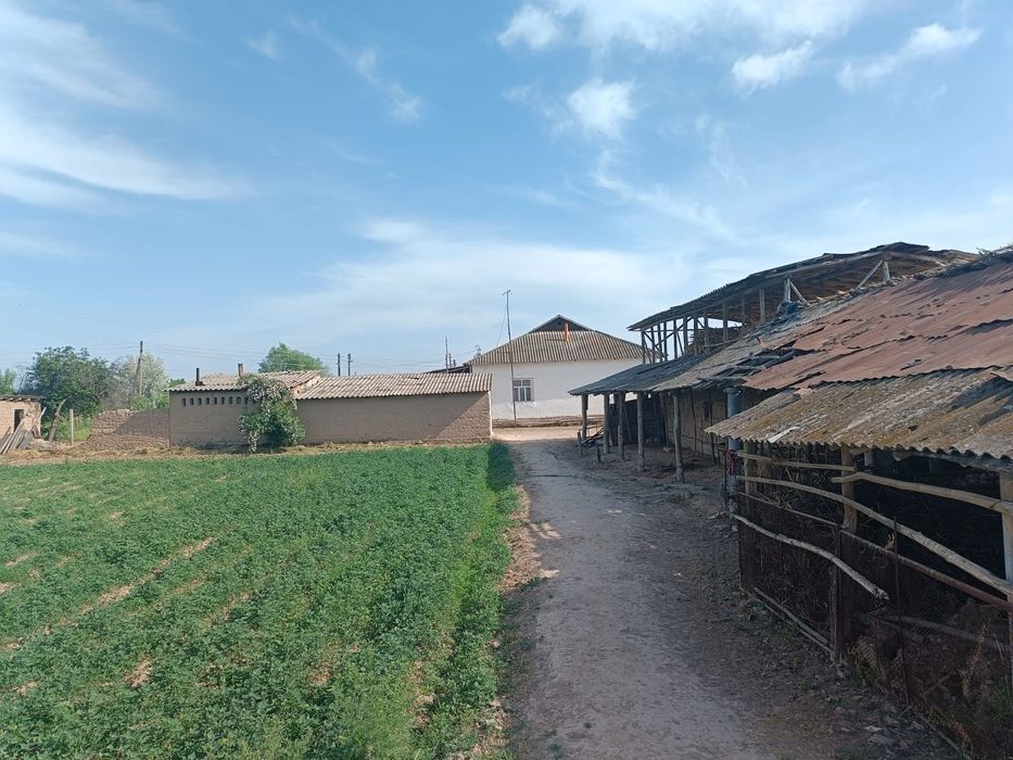 Бука тумани Самарканд МФЙ ДАВЛАТОВУЛ кишлогида 60 сотих уй-ховли сотил