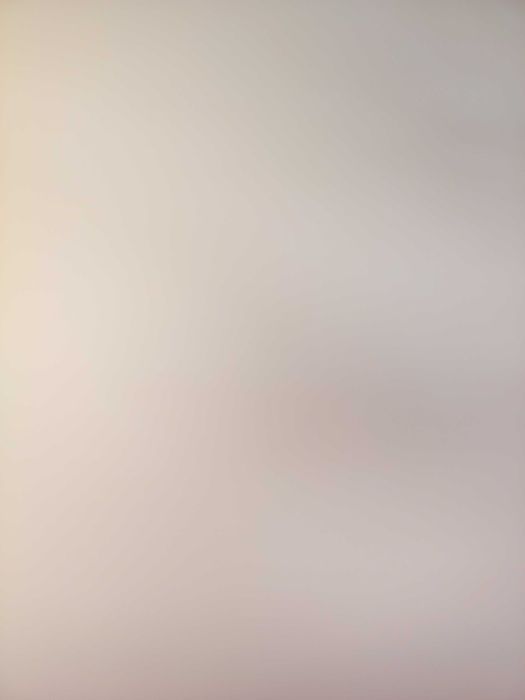 Два големи заека