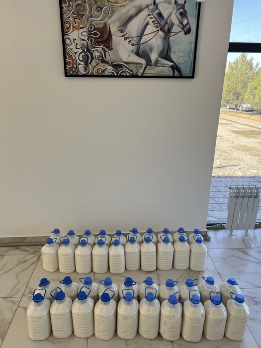 Қымыран Шұбат,Түйе сүті,Қымыз