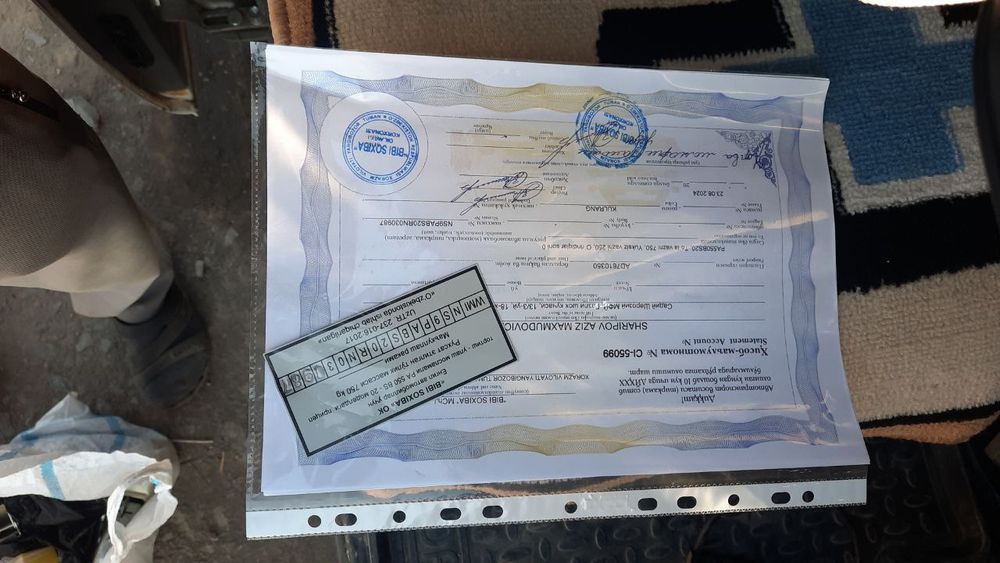 Barcha yengil Afto Pirsep