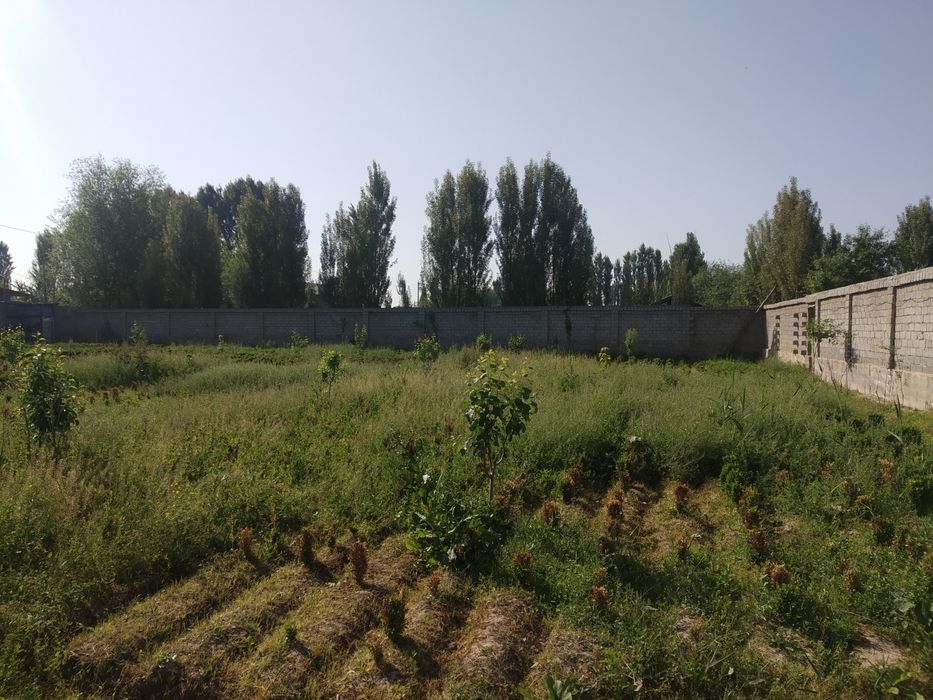 Ер сотилади 6000.