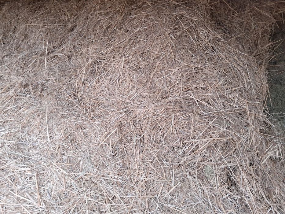 Қамыс шөп 2 тележка