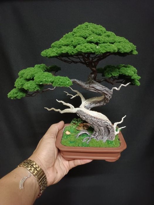 Дерево бансай япон дарахти Йасаб берамиз