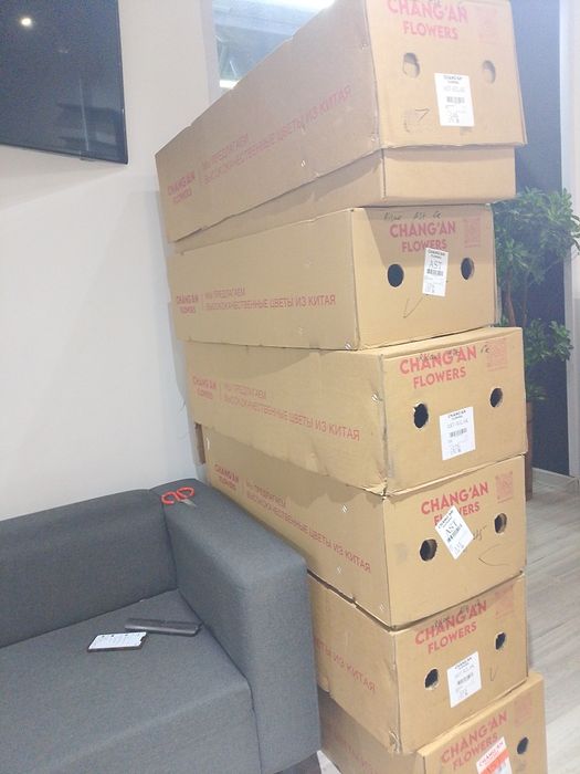 12 коробок чистых