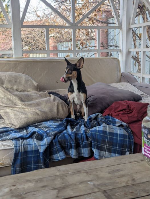 Дом и родители для Локи