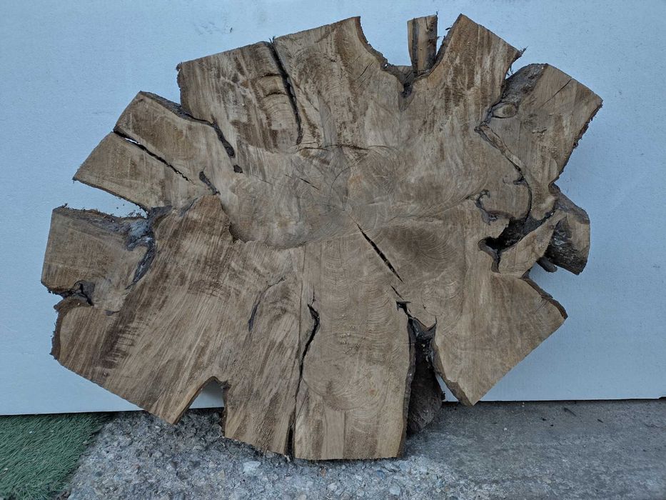 Rădăcină de nuc/rondele rădăcină lemn de nuc