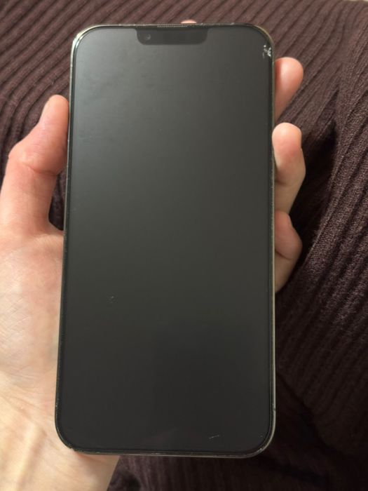 iPhone 13 Pro Max