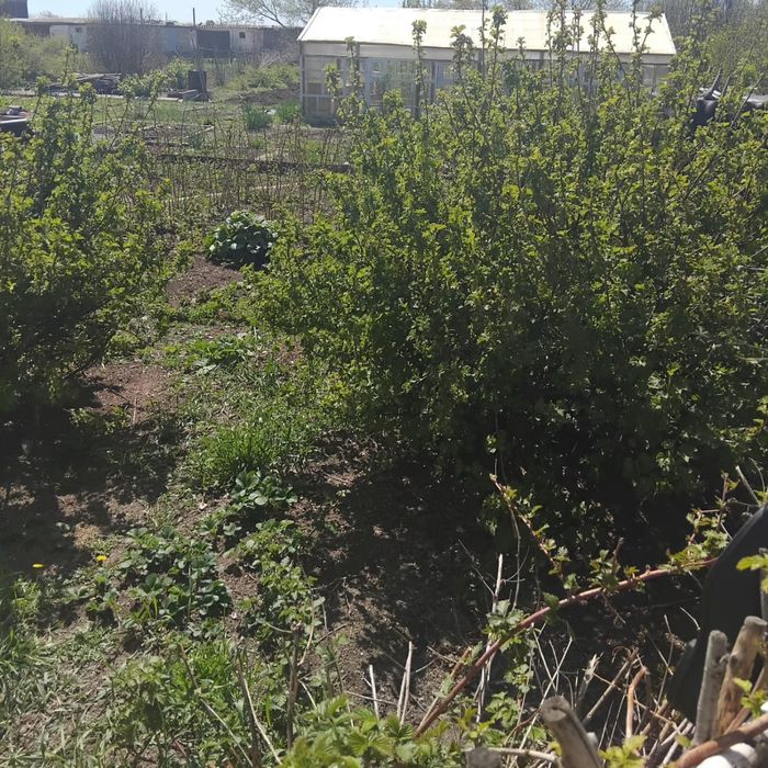 Продам дом в к/карьере