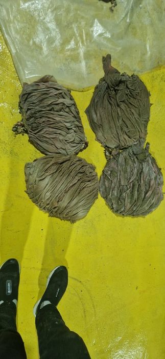 Говяжий книжки оптом