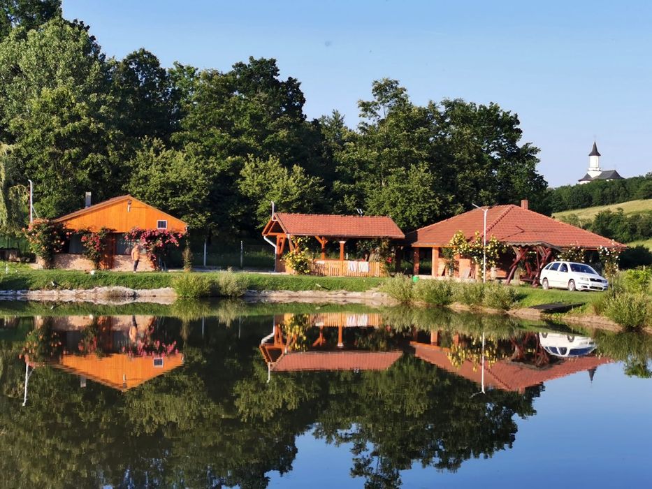 Vând proprietate lângă Mănăstirea Dobrești jud. Timiș.