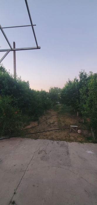 дача сотилади 15 сотих