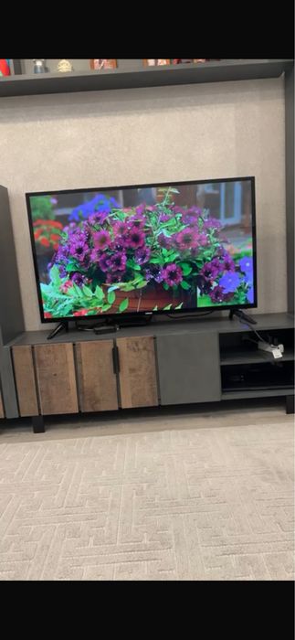 Телевизор бронированый