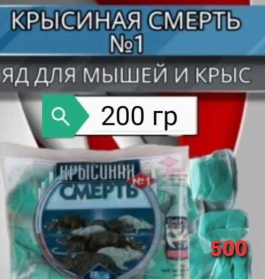 Плесень  таракан мыщь крыса