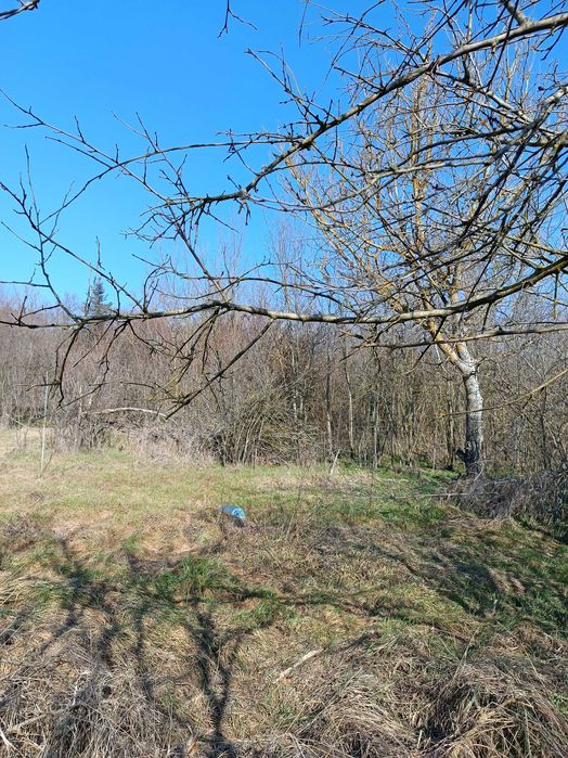 Продава се Къща в с. Ботево, Област Варна - 250 кв.м за 92 €/кв.м - Снимка #4