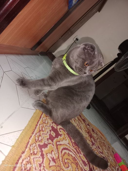 Приглашаем на вязку