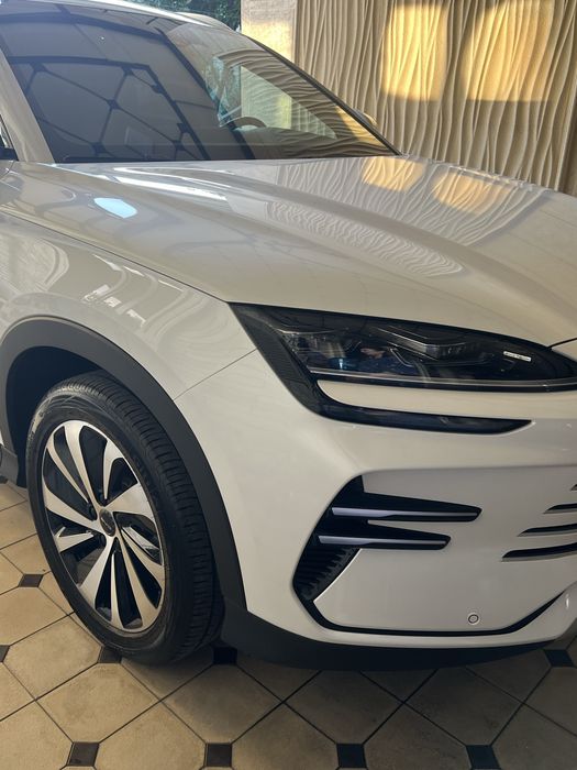 Byd champion gibrid 150 oq afitsalniy