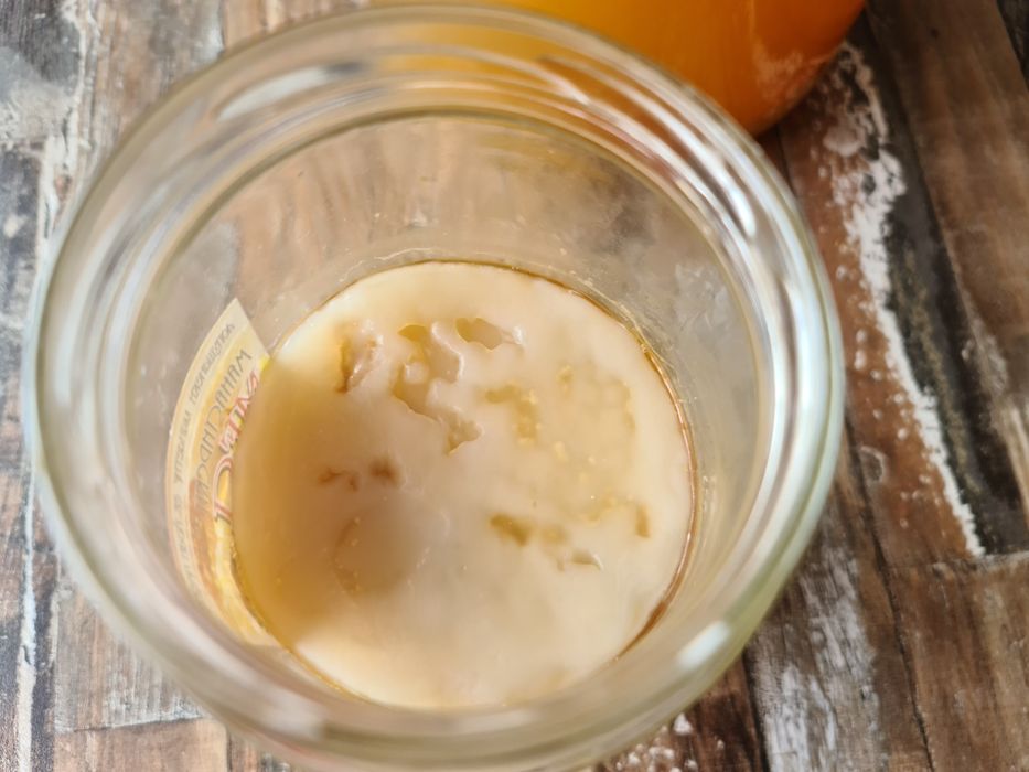 БИО Комбуча чаена Гъба scoby (Скоби) +Стартер течност за напитка